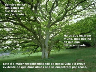 Esta é a maior responsabilidade de nossa vida e a prova evidente de que duas almas não se encontram por acaso. Há os que levaram muito, mas não há os que não deixaram nada.  Sempre deixa um pouco de si e leva um pouco de nós. 