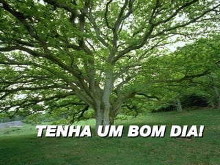TENHA UM BOM DIA! 