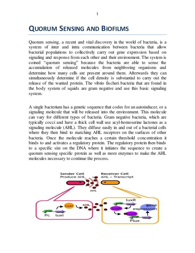 quorum sensing and biofilms what is quorum sensing