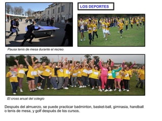 LOS DEPORTES




 Pausa tenis de mesa durante el recreo




 El cross anual del colegio

Después del almuerzo, se puede practicar badminton, basket-ball, gimnasia, handball
o tenis de mesa, y golf después de los cursos.
 