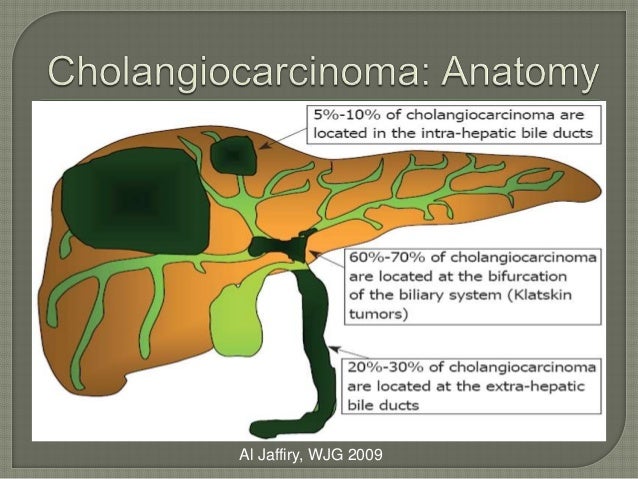 Advances in cholangiocarcinoma