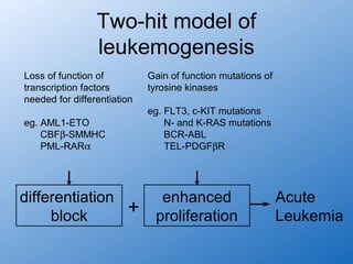 Two-hit model of
                 leukemogenesis
Loss of function of          Gain of function mutations of
transcription factors        tyrosine kinases
needed for differentiation
                             eg. FLT3, c-KIT mutations
eg. AML1-ETO                     N- and K-RAS mutations
    CBFβ-SMMHC                   BCR-ABL
    PML-RARα                     TEL-PDGFβR




differentiation                enhanced                      Acute
     block              +     proliferation                  Leukemia
 