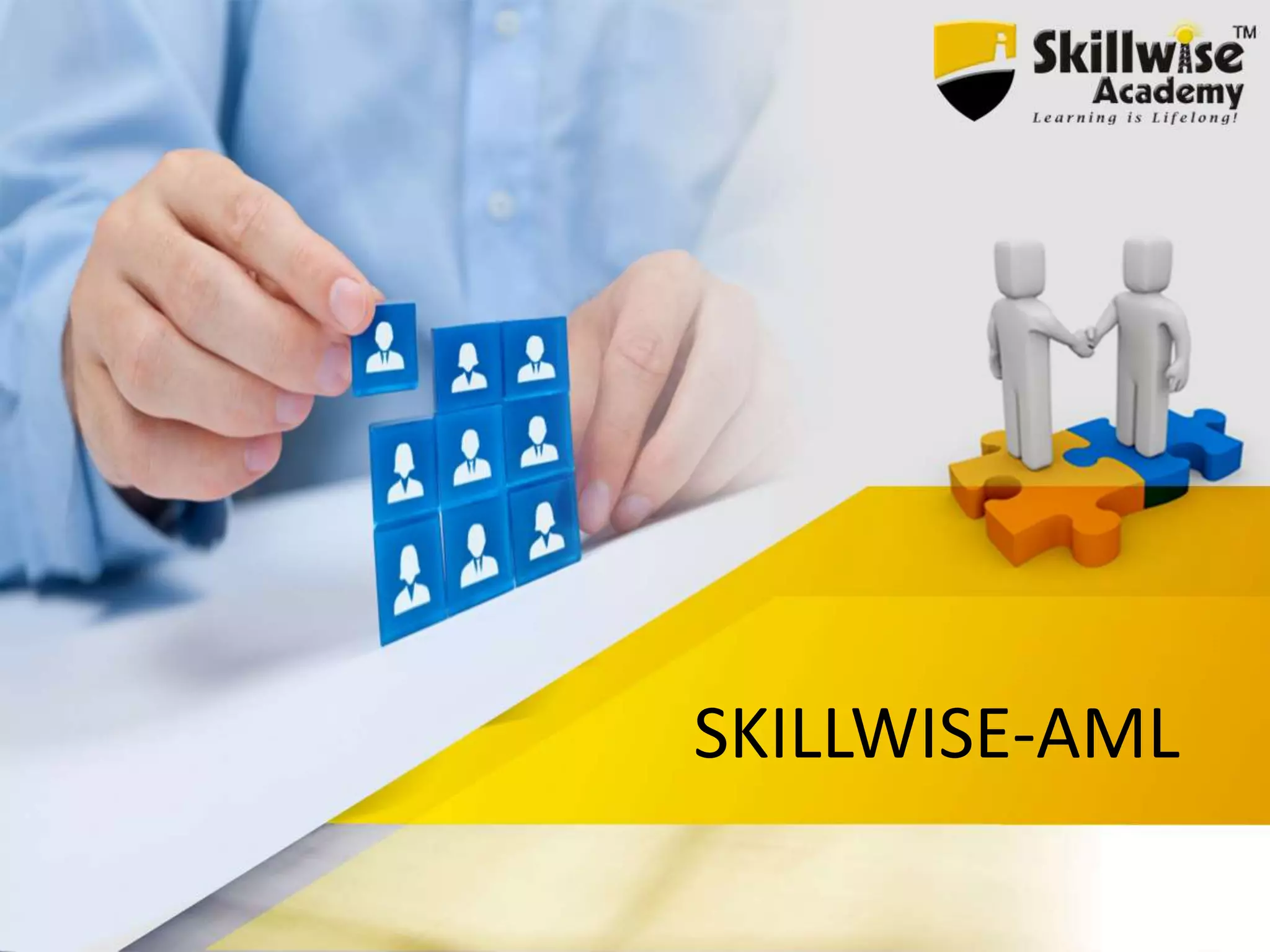 SKILLWISE-AML
 