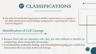 CLASSIFICATIONS
Identification of Cell Lineage
07
➢ Because blast cells are immature cells, they are often difficult to identify by
morphology alone using light microscopy.
➢ Cytochemistry, molecular testing, and immunophenotyping give additional
information that can help define cell lineage.
❖ The 2016 World Health Organization (WHO) classification is an update to
the 2008 classification of hematologic malignancies, expanding the criteria
used for diagnosis.
 
