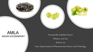 Presented By: Sridebesh Ghorui
B.Pharm, 2nd Year
Roll No.-34
Guru Nanak Institute Of Pharmaceutical Science And Technology
AMLA
INDIAN GOOSEBERRY
 