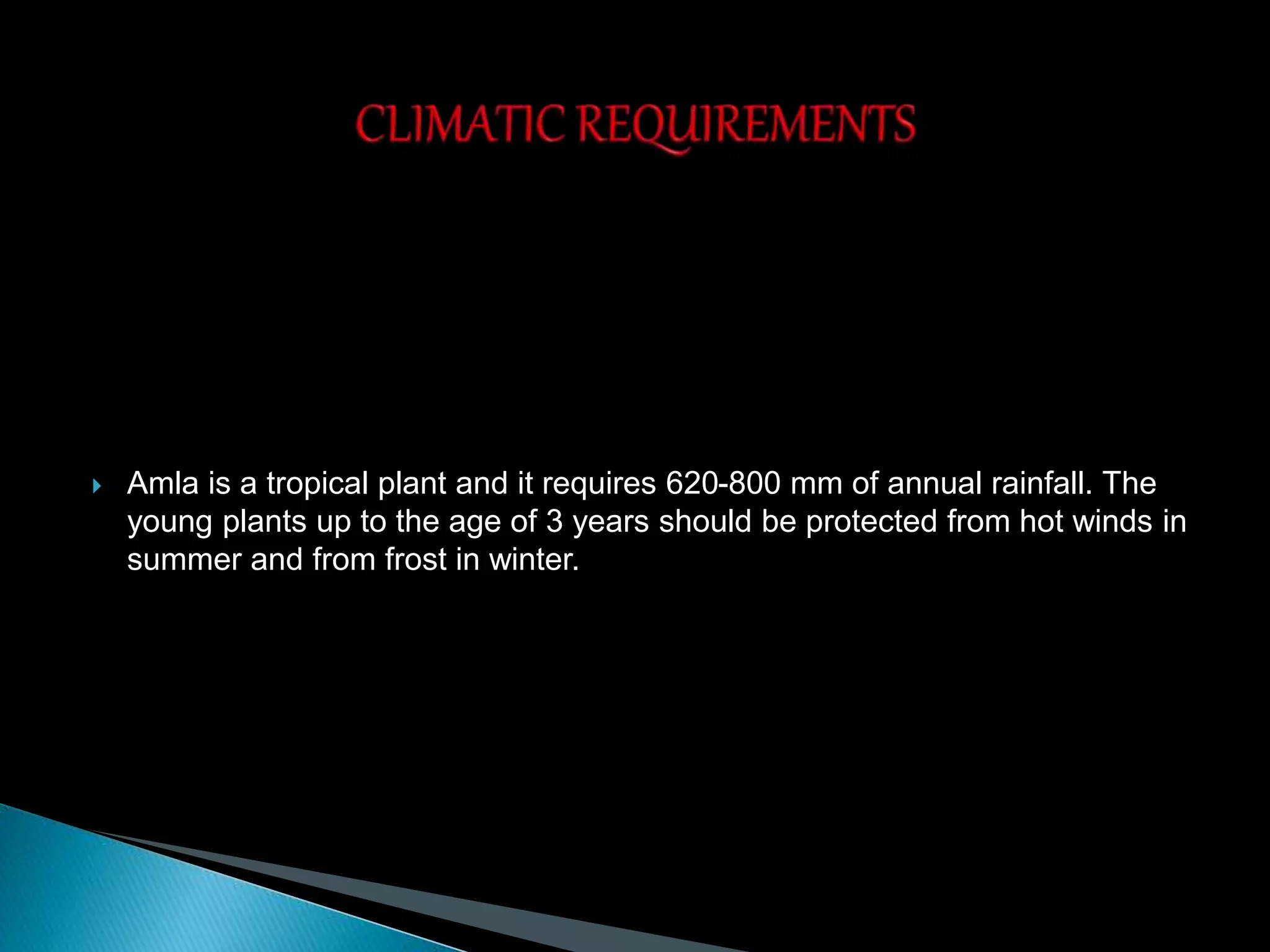  Amla is a tropical plant and it requires 620-800 mm of annual rainfall. The
young plants up to the age of 3 years should be protected from hot winds in
summer and from frost in winter.
 