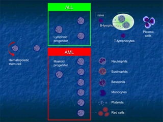 leukemia: Aml and all by asif | PPT