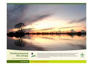 Research options for studying tenure security