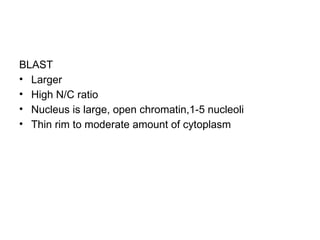 BLAST
• Larger
• High N/C ratio
• Nucleus is large, open chromatin,1-5 nucleoli
• Thin rim to moderate amount of cytoplasm
 