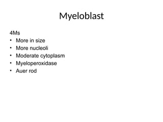 Myeloblast
4Ms
• More in size
• More nucleoli
• Moderate cytoplasm
• Myeloperoxidase
• Auer rod
 