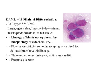 1)AML with Minimal Differentiation:
- FAB type: AML-M0.
- Large,Agranular, lineage-indeterminant
blasts predominate.intended nuclei
• - Lineage of blasts not apparent by
morphology or cytochemistry.
• - Flow cytometric,immunophenotyping is required for
delineation of myeloid lineage.
• - There are no recurrent cytogenetic abnormalities.
• - Prognosis is poor.
 
