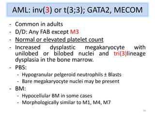 Acute Leukemia Cytogenetics | PPTX