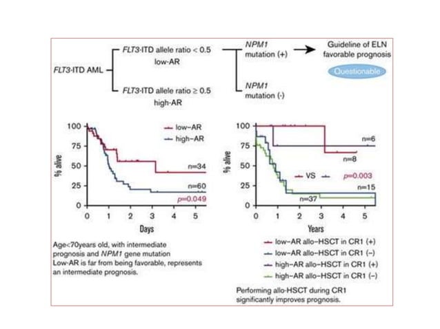 Aml Flt3 Itd Pptx Cancer Diseases And Conditions Aml Flt3 Itd Pptx Cancer Diseases And Conditions