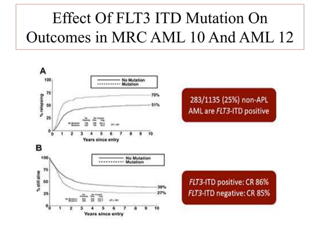 Aml flt3 itd | PPTX | Cancer | Diseases and Conditions