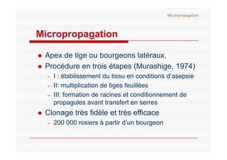 Micropropagation
Micropropagation
 Apex de tige ou bourgeons latéraux,
 Procédure en trois étapes (Murashige, 1974)
– I : ...