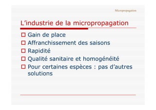 L’industrie de la micropropagation
 Gain de place
 Affranchissement des saisons
 Rapidité
Micropropagation
 Qualité sanita...