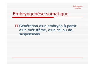 Embryogenèse somatique
 Génération d’un embryon à partir
d’un méristème, d’un cal ou de
suspensions
Embryogenèse
somatique...