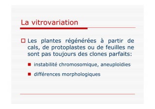 La vitrovariation
 Les plantes régénérées à partir de
cals, de protoplastes ou de feuilles ne
sont pas toujours des clones...