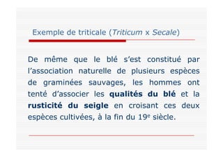 Exemple de triticale (Triticum x Secale)
De même que le blé s’est constitué par
l’association naturelle de plusieurs espèc...