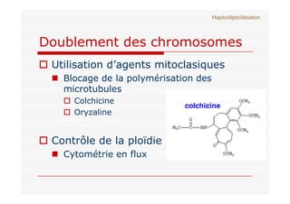 Doublement des chromosomes
 Utilisation d’agents mitoclasiques
 Blocage de la polymérisation des
microtubules
 Colchicine
...
