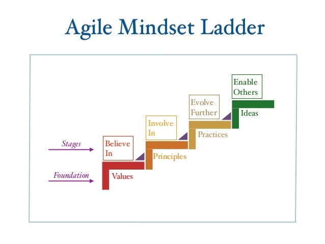 agile ladder