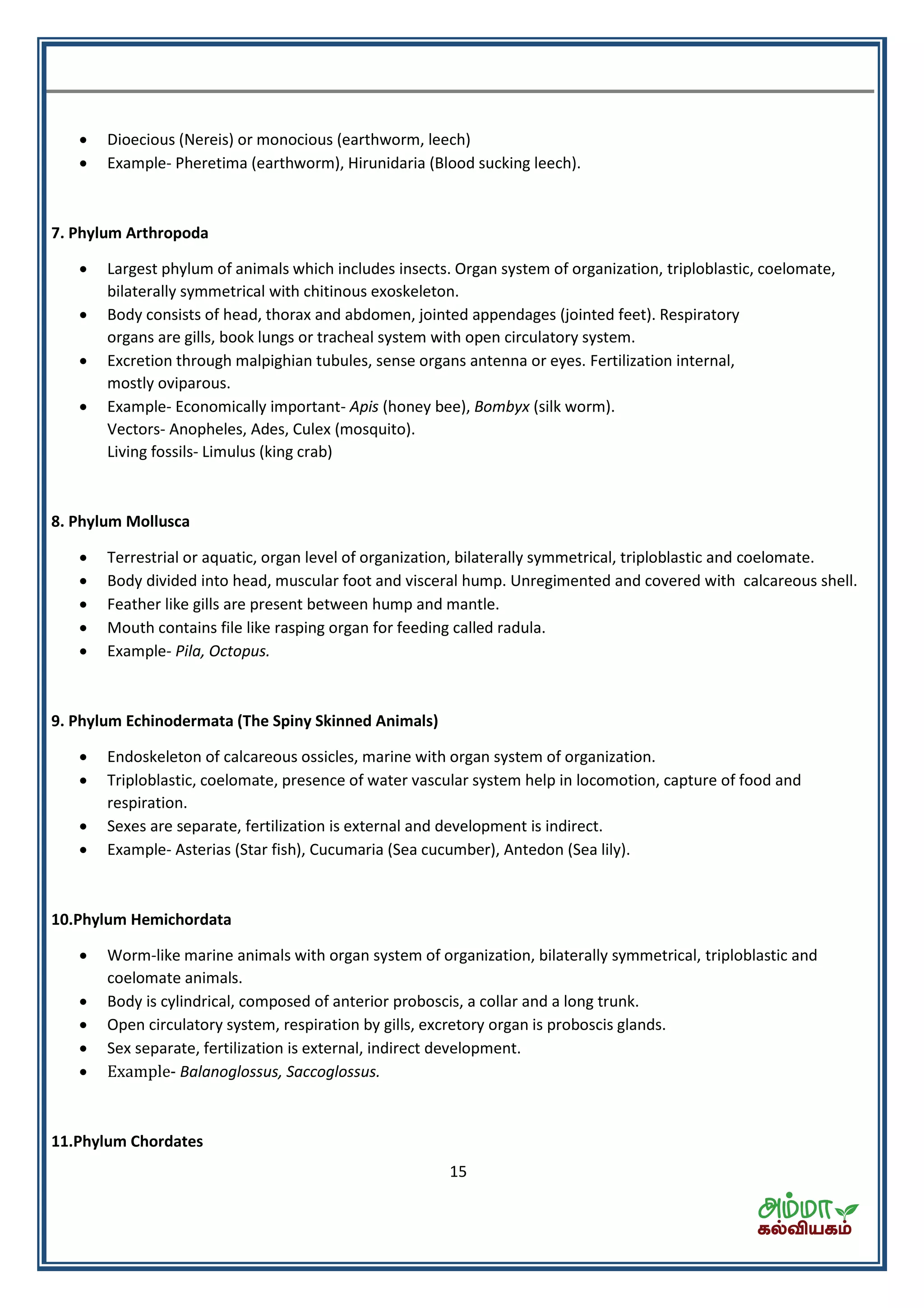 15
 Dioecious (Nereis) or monocious (earthworm, leech)
 Example- Pheretima (earthworm), Hirunidaria (Blood sucking leech).
7. Phylum Arthropoda
 Largest phylum of animals which includes insects. Organ system of organization, triploblastic, coelomate,
bilaterally symmetrical with chitinous exoskeleton.
 Body consists of head, thorax and abdomen, jointed appendages (jointed feet). Respiratory
organs are gills, book lungs or tracheal system with open circulatory system.
 Excretion through malpighian tubules, sense organs antenna or eyes. Fertilization internal,
mostly oviparous.
 Example- Economically important- Apis (honey bee), Bombyx (silk worm).
Vectors- Anopheles, Ades, Culex (mosquito).
Living fossils- Limulus (king crab)
8. Phylum Mollusca
 Terrestrial or aquatic, organ level of organization, bilaterally symmetrical, triploblastic and coelomate.
 Body divided into head, muscular foot and visceral hump. Unregimented and covered with calcareous shell.
 Feather like gills are present between hump and mantle.
 Mouth contains file like rasping organ for feeding called radula.
 Example- Pila, Octopus.
9. Phylum Echinodermata (The Spiny Skinned Animals)
 Endoskeleton of calcareous ossicles, marine with organ system of organization.
 Triploblastic, coelomate, presence of water vascular system help in locomotion, capture of food and
respiration.
 Sexes are separate, fertilization is external and development is indirect.
 Example- Asterias (Star fish), Cucumaria (Sea cucumber), Antedon (Sea lily).
10.Phylum Hemichordata
 Worm-like marine animals with organ system of organization, bilaterally symmetrical, triploblastic and
coelomate animals.
 Body is cylindrical, composed of anterior proboscis, a collar and a long trunk.
 Open circulatory system, respiration by gills, excretory organ is proboscis glands.
 Sex separate, fertilization is external, indirect development.
 Example- Balanoglossus, Saccoglossus.
11.Phylum Chordates
 