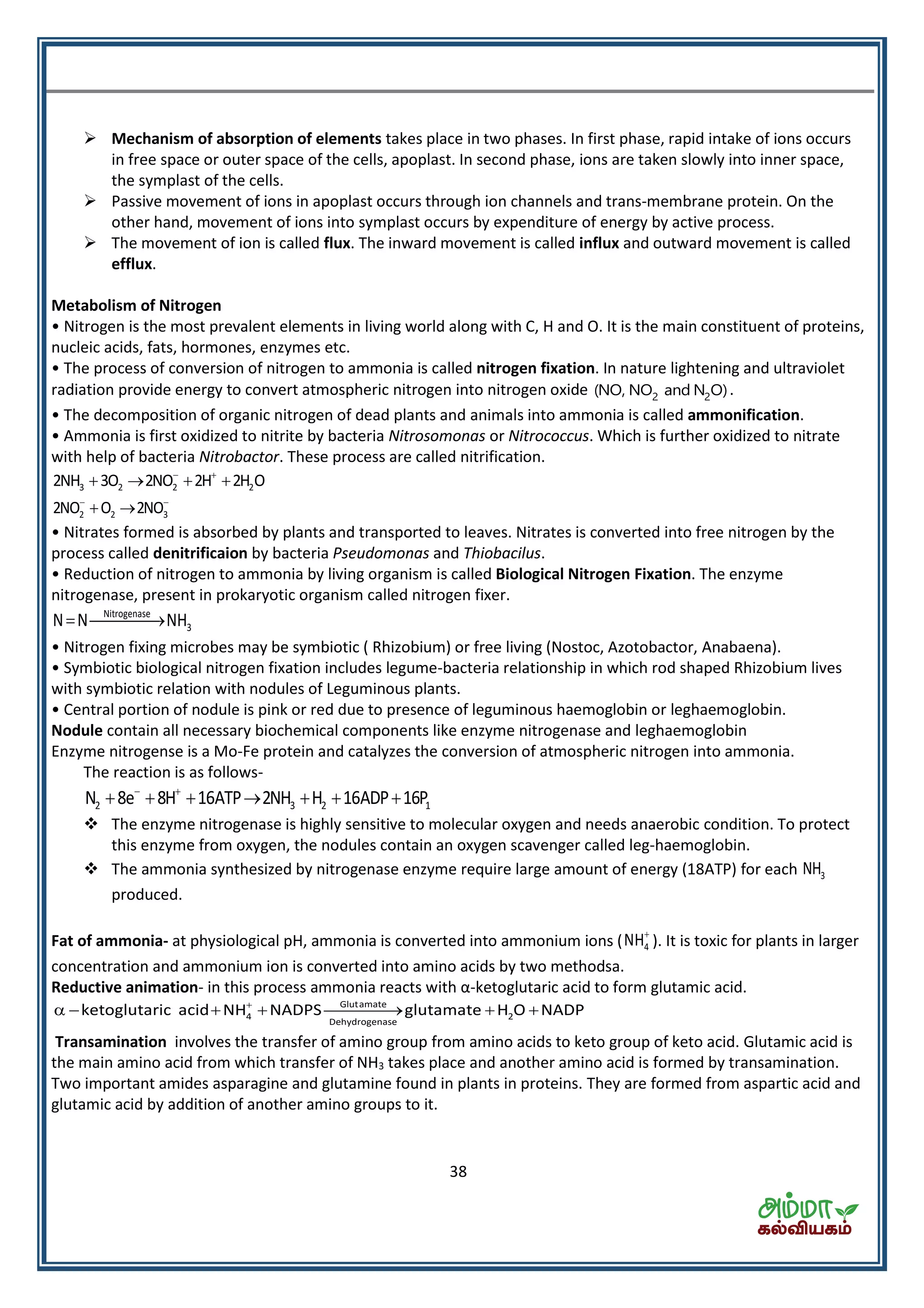 38
 Mechanism of absorption of elements takes place in two phases. In first phase, rapid intake of ions occurs
in free space or outer space of the cells, apoplast. In second phase, ions are taken slowly into inner space,
the symplast of the cells.
 Passive movement of ions in apoplast occurs through ion channels and trans-membrane protein. On the
other hand, movement of ions into symplast occurs by expenditure of energy by active process.
 The movement of ion is called flux. The inward movement is called influx and outward movement is called
efflux.
Metabolism of Nitrogen
• Nitrogen is the most prevalent elements in living world along with C, H and O. It is the main constituent of proteins,
nucleic acids, fats, hormones, enzymes etc.
• The process of conversion of nitrogen to ammonia is called nitrogen fixation. In nature lightening and ultraviolet
radiation provide energy to convert atmospheric nitrogen into nitrogen oxide 2 2(NO, NO and N O).
• The decomposition of organic nitrogen of dead plants and animals into ammonia is called ammonification.
• Ammonia is first oxidized to nitrite by bacteria Nitrosomonas or Nitrococcus. Which is further oxidized to nitrate
with help of bacteria Nitrobactor. These process are called nitrification.
3 2 2 22NH 3O 2NO 2H 2H O 
   
2 2 32NO O 2NO 
 
• Nitrates formed is absorbed by plants and transported to leaves. Nitrates is converted into free nitrogen by the
process called denitrificaion by bacteria Pseudomonas and Thiobacilus.
• Reduction of nitrogen to ammonia by living organism is called Biological Nitrogen Fixation. The enzyme
nitrogenase, present in prokaryotic organism called nitrogen fixer.
Nitrogenase
3N N NH 
• Nitrogen fixing microbes may be symbiotic ( Rhizobium) or free living (Nostoc, Azotobactor, Anabaena).
• Symbiotic biological nitrogen fixation includes legume-bacteria relationship in which rod shaped Rhizobium lives
with symbiotic relation with nodules of Leguminous plants.
• Central portion of nodule is pink or red due to presence of leguminous haemoglobin or leghaemoglobin.
Nodule contain all necessary biochemical components like enzyme nitrogenase and leghaemoglobin
Enzyme nitrogense is a Mo-Fe protein and catalyzes the conversion of atmospheric nitrogen into ammonia.
The reaction is as follows-
2 3 2 1N 8e 8H 16ATP 2NH H 16ADP 16P 
      
 The enzyme nitrogenase is highly sensitive to molecular oxygen and needs anaerobic condition. To protect
this enzyme from oxygen, the nodules contain an oxygen scavenger called leg-haemoglobin.
 The ammonia synthesized by nitrogenase enzyme require large amount of energy (18ATP) for each 3NH
produced.
Fat of ammonia- at physiological pH, ammonia is converted into ammonium ions ( 4NH
). It is toxic for plants in larger
concentration and ammonium ion is converted into amino acids by two methodsa.
Reductive animation- in this process ammonia reacts with α-ketoglutaric acid to form glutamic acid.

      Glutamate
4 2
Dehydrogenase
ketoglutaric acid NH NADPS glutamate H O NADP
Transamination involves the transfer of amino group from amino acids to keto group of keto acid. Glutamic acid is
the main amino acid from which transfer of NH3 takes place and another amino acid is formed by transamination.
Two important amides asparagine and glutamine found in plants in proteins. They are formed from aspartic acid and
glutamic acid by addition of another amino groups to it.
 