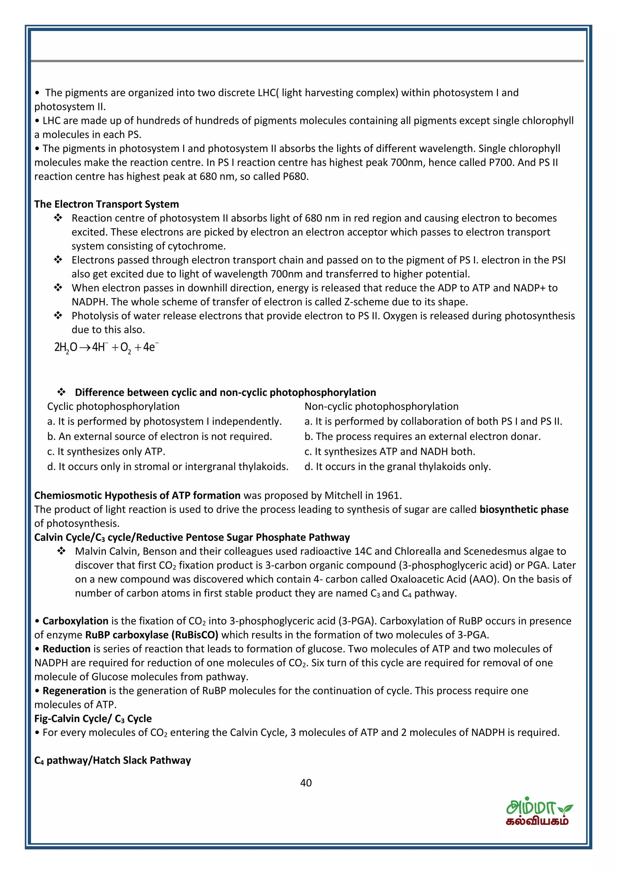 40
• The pigments are organized into two discrete LHC( light harvesting complex) within photosystem I and
photosystem II.
• LHC are made up of hundreds of hundreds of pigments molecules containing all pigments except single chlorophyll
a molecules in each PS.
• The pigments in photosystem I and photosystem II absorbs the lights of different wavelength. Single chlorophyll
molecules make the reaction centre. In PS I reaction centre has highest peak 700nm, hence called P700. And PS II
reaction centre has highest peak at 680 nm, so called P680.
The Electron Transport System
 Reaction centre of photosystem II absorbs light of 680 nm in red region and causing electron to becomes
excited. These electrons are picked by electron an electron acceptor which passes to electron transport
system consisting of cytochrome.
 Electrons passed through electron transport chain and passed on to the pigment of PS I. electron in the PSI
also get excited due to light of wavelength 700nm and transferred to higher potential.
 When electron passes in downhill direction, energy is released that reduce the ADP to ATP and NADP+ to
NADPH. The whole scheme of transfer of electron is called Z-scheme due to its shape.
 Photolysis of water release electrons that provide electron to PS II. Oxygen is released during photosynthesis
due to this also.
2 22H O 4H O 4e 
  
 Difference between cyclic and non-cyclic photophosphorylation
Cyclic photophosphorylation Non-cyclic photophosphorylation
a. It is performed by photosystem I independently.
b. An external source of electron is not required.
c. It synthesizes only ATP.
d. It occurs only in stromal or intergranal thylakoids.
a. It is performed by collaboration of both PS I and PS II.
b. The process requires an external electron donar.
c. It synthesizes ATP and NADH both.
d. It occurs in the granal thylakoids only.
Chemiosmotic Hypothesis of ATP formation was proposed by Mitchell in 1961.
The product of light reaction is used to drive the process leading to synthesis of sugar are called biosynthetic phase
of photosynthesis.
Calvin Cycle/C3 cycle/Reductive Pentose Sugar Phosphate Pathway
 Malvin Calvin, Benson and their colleagues used radioactive 14C and Chlorealla and Scenedesmus algae to
discover that first CO2 fixation product is 3-carbon organic compound (3-phosphoglyceric acid) or PGA. Later
on a new compound was discovered which contain 4- carbon called Oxaloacetic Acid (AAO). On the basis of
number of carbon atoms in first stable product they are named C3 and C4 pathway.
• Carboxylation is the fixation of CO2 into 3-phosphoglyceric acid (3-PGA). Carboxylation of RuBP occurs in presence
of enzyme RuBP carboxylase (RuBisCO) which results in the formation of two molecules of 3-PGA.
• Reduction is series of reaction that leads to formation of glucose. Two molecules of ATP and two molecules of
NADPH are required for reduction of one molecules of CO2. Six turn of this cycle are required for removal of one
molecule of Glucose molecules from pathway.
• Regeneration is the generation of RuBP molecules for the continuation of cycle. This process require one
molecules of ATP.
Fig-Calvin Cycle/ C3 Cycle
• For every molecules of CO2 entering the Calvin Cycle, 3 molecules of ATP and 2 molecules of NADPH is required.
C4 pathway/Hatch Slack Pathway
 