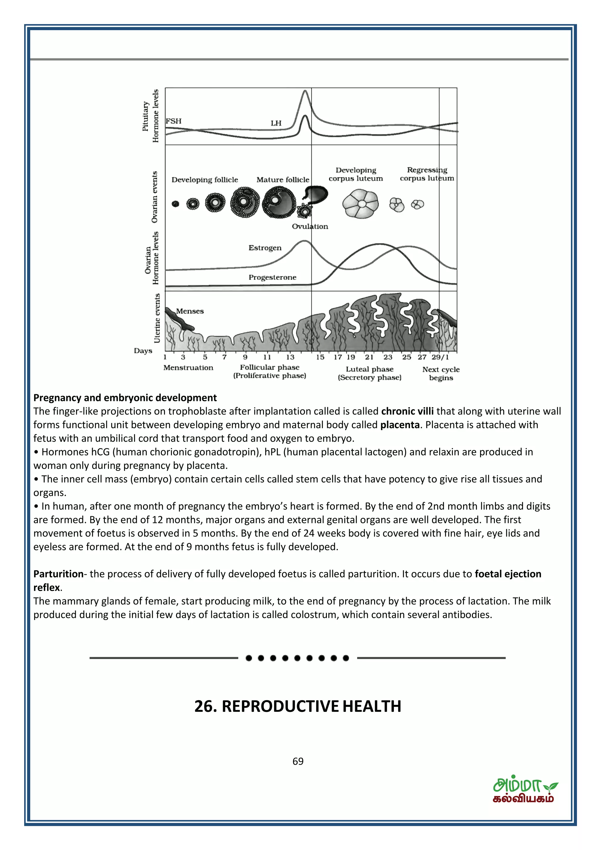 69
Pregnancy and embryonic development
The finger-like projections on trophoblaste after implantation called is called chronic villi that along with uterine wall
forms functional unit between developing embryo and maternal body called placenta. Placenta is attached with
fetus with an umbilical cord that transport food and oxygen to embryo.
• Hormones hCG (human chorionic gonadotropin), hPL (human placental lactogen) and relaxin are produced in
woman only during pregnancy by placenta.
• The inner cell mass (embryo) contain certain cells called stem cells that have potency to give rise all tissues and
organs.
• I hu a , afte o e o th of p eg a the e o s hea t is fo ed. B the e d of d month limbs and digits
are formed. By the end of 12 months, major organs and external genital organs are well developed. The first
movement of foetus is observed in 5 months. By the end of 24 weeks body is covered with fine hair, eye lids and
eyeless are formed. At the end of 9 months fetus is fully developed.
Parturition- the process of delivery of fully developed foetus is called parturition. It occurs due to foetal ejection
reflex.
The mammary glands of female, start producing milk, to the end of pregnancy by the process of lactation. The milk
produced during the initial few days of lactation is called colostrum, which contain several antibodies.
26. REPRODUCTIVE HEALTH
 