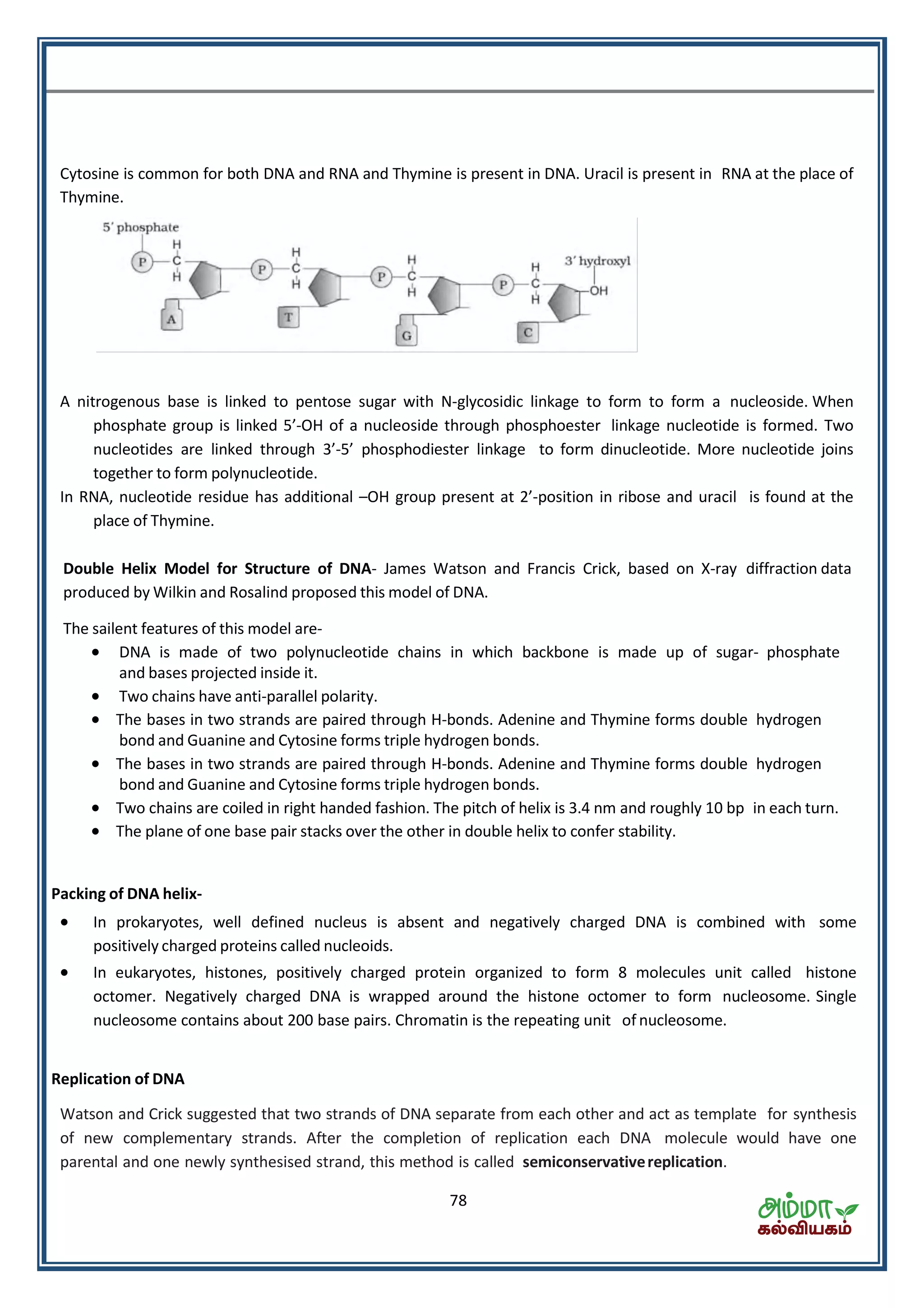 78
Cytosine is common for both DNA and RNA and Thymine is present in DNA. Uracil is present in RNA at the place of
Thymine.
A nitrogenous base is linked to pentose sugar with N-glycosidic linkage to form to form a nucleoside. When
phosphate group is linked -OH of a nucleoside through phosphoester linkage nucleotide is formed. Two
nucleotides are linked through - phosphodiester linkage to form dinucleotide. More nucleotide joins
together to form polynucleotide.
In RNA, nucleotide residue has additional –OH group present at -position in ribose and uracil is found at the
place of Thymine.
Double Helix Model for Structure of DNA- James Watson and Francis Crick, based on X-ray diffraction data
produced by Wilkin and Rosalind proposed this model of DNA.
The sailent features of this model are-
 DNA is made of two polynucleotide chains in which backbone is made up of sugar- phosphate
and bases projected inside it.
 Two chains have anti-parallel polarity.
 The bases in two strands are paired through H-bonds. Adenine and Thymine forms double hydrogen
bond and Guanine and Cytosine forms triple hydrogen bonds.
 The bases in two strands are paired through H-bonds. Adenine and Thymine forms double hydrogen
bond and Guanine and Cytosine forms triple hydrogen bonds.
 Two chains are coiled in right handed fashion. The pitch of helix is 3.4 nm and roughly 10 bp in each turn.
 The plane of one base pair stacks over the other in double helix to confer stability.
Packing of DNA helix-
 In prokaryotes, well defined nucleus is absent and negatively charged DNA is combined with some
positively charged proteins called nucleoids.
 In eukaryotes, histones, positively charged protein organized to form 8 molecules unit called histone
octomer. Negatively charged DNA is wrapped around the histone octomer to form nucleosome. Single
nucleosome contains about 200 base pairs. Chromatin is the repeating unit of nucleosome.
Replication of DNA
Watson and Crick suggested that two strands of DNA separate from each other and act as template for synthesis
of new complementary strands. After the completion of replication each DNA molecule would have one
parental and one newly synthesised strand, this method is called semiconservativereplication.
 
