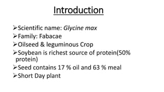 Introduction
Scientific name: Glycine max
Family: Fabacae
Oilseed & leguminous Crop
Soybean is richest source of protein(50%
protein)
Seed contains 17 % oil and 63 % meal
Short Day plant
 