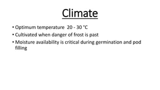 Climate
• Optimum temperature 20 - 30 °C
• Cultivated when danger of frost is past
• Moisture availability is critical during germination and pod
filling
 