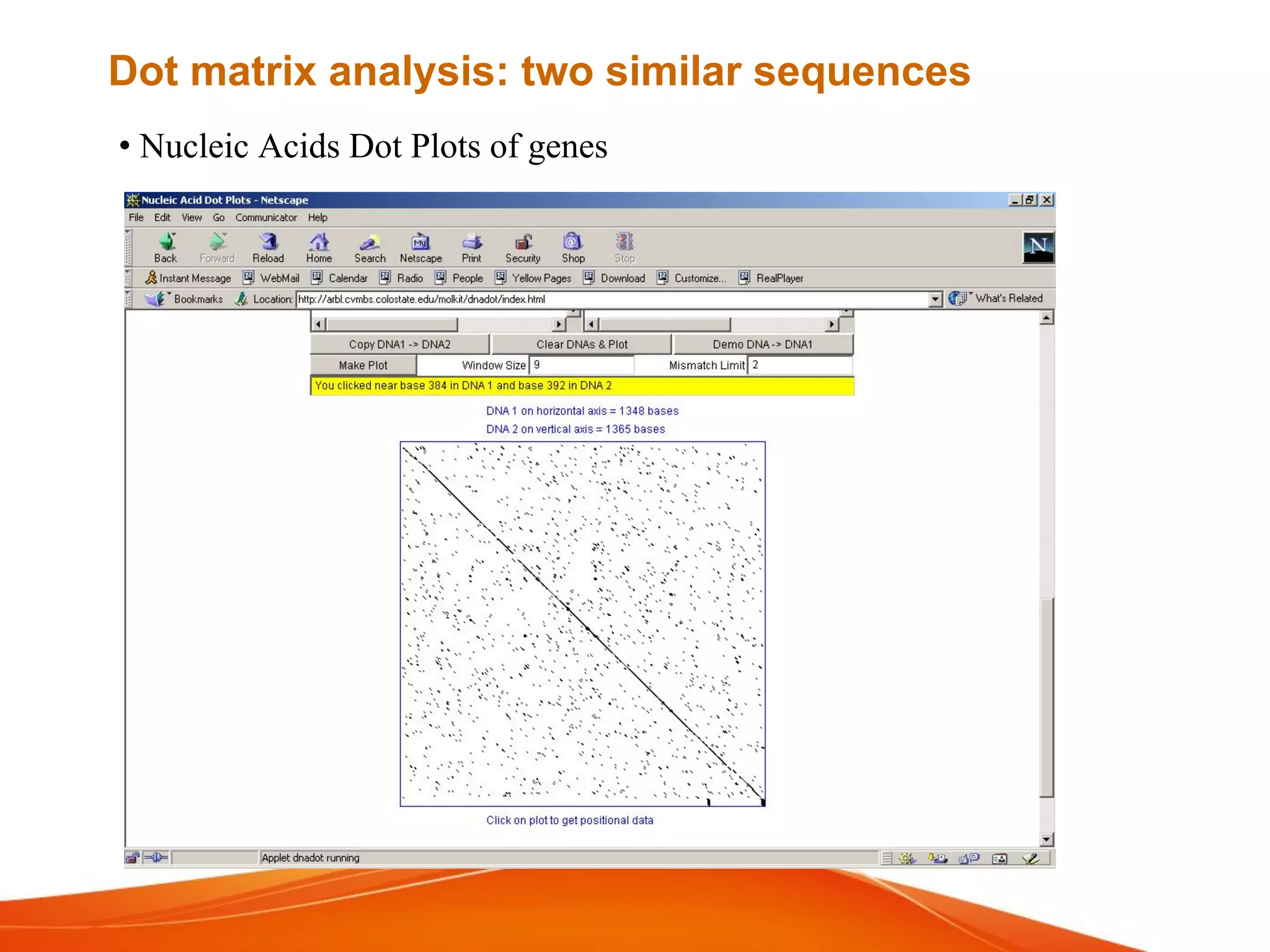 • Nucleic Acids Dot Plots of genes
Dot matrix analysis: two similar sequences
 