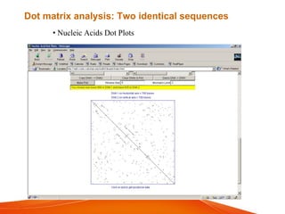 • Nucleic Acids Dot Plots
Dot matrix analysis: Two identical sequences
 