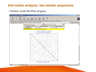 • Nucleic Acids Dot Plots of genes
Dot matrix analysis: two similar sequences
 