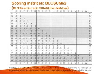 Scoring matrices: BLOSUM62
(BLOcks amino acid SUbstitution Matrices)
Ideology of BLOSUM is similar but it is calculated from a very different and much larger set
of proteins, which are much more similar and create blocks of proteins with a similar pattern
 