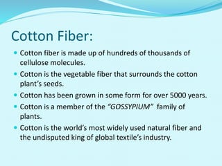 Cotton Fiber:
 Cotton fiber is made up of hundreds of thousands of
cellulose molecules.
 Cotton is the vegetable fiber that surrounds the cotton
plant’s seeds.
 Cotton has been grown in some form for over 5000 years.
 Cotton is a member of the “GOSSYPIUM” family of
plants.
 Cotton is the world’s most widely used natural fiber and
the undisputed king of global textile’s industry.
 