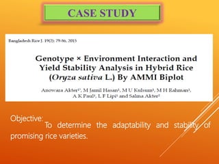 Objective:
To determine the adaptability and stability of
promising rice varieties.
CASE STUDY
 