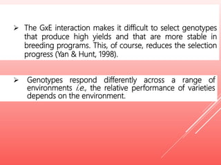  The GxE interaction makes it difficult to select genotypes
that produce high yields and that are more stable in
breeding programs. This, of course, reduces the selection
progress (Yan & Hunt, 1998).
 Genotypes respond differently across a range of
environments i.e., the relative performance of varieties
depends on the environment.
 