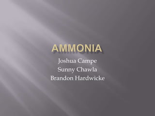 Ammonia Joshua Campe Sunny Chawla Brandon Hardwicke 