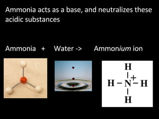 Ammonia acts as a base, and neutralizes these acidic substances Ammonia  +  Water ->  Ammon ium  ion 