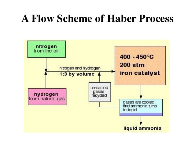 the production of ammonia and the haber process the production of ammonia and the haber process