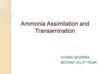 Ammonia Assimilation and
Transamination
CHARU SHARMA
BOTANY (H) 3rd YEAR
 