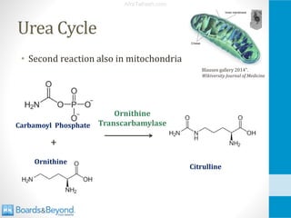 Comprehensive Overview of Ammonia Metabolism and Urea Cycle Disorders | PDF