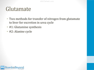 Comprehensive Overview of Ammonia Metabolism and Urea Cycle Disorders | PDF