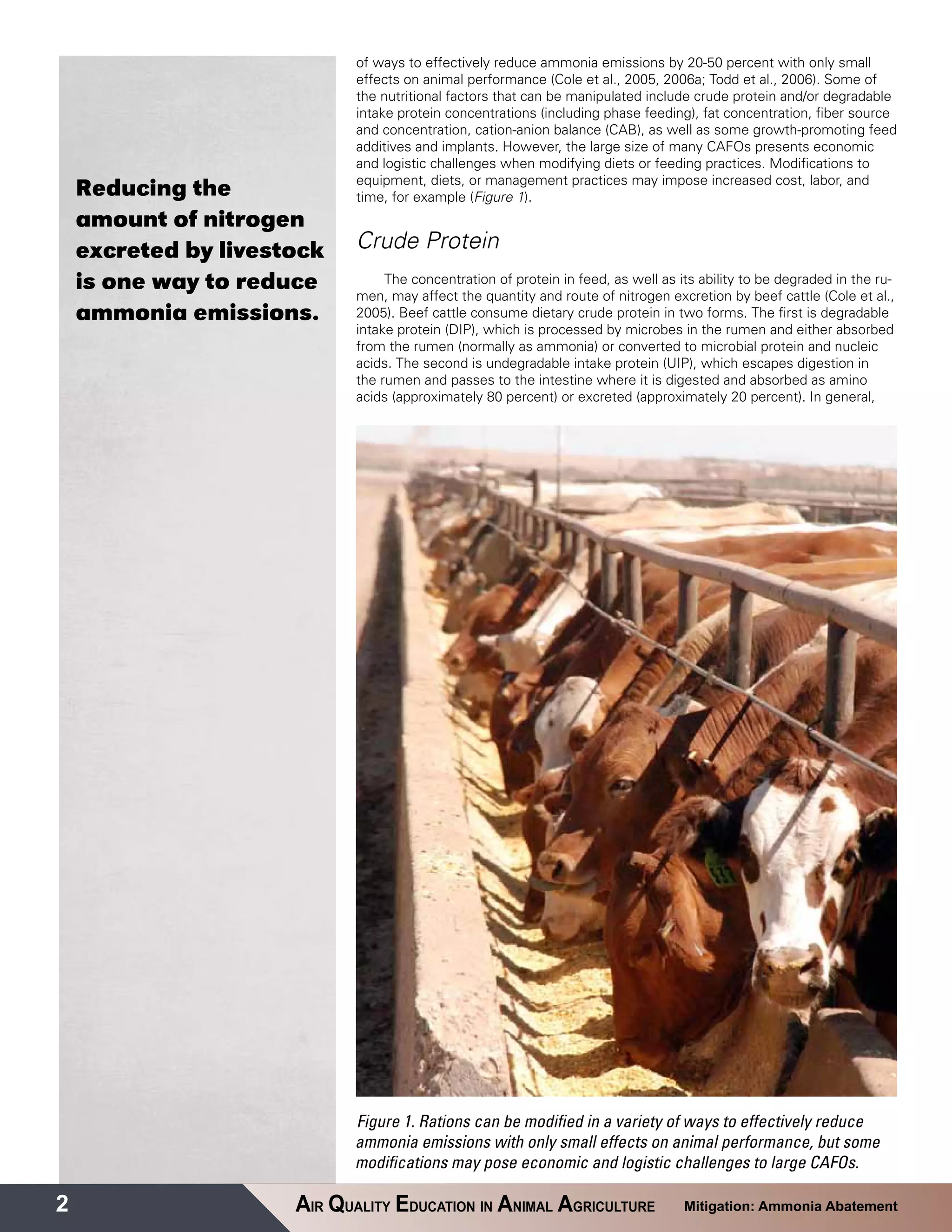 of ways to effectively reduce ammonia emissions by 20-50 percent with only small
                             effects on animal performance (Cole et al., 2005, 2006a; Todd et al., 2006). Some of
                             the nutritional factors that can be manipulated include crude protein and/or degradable
                             intake protein concentrations (including phase feeding), fat concentration, fiber source
                             and concentration, cation-anion balance (CAB), as well as some growth-promoting feed
                             additives and implants. However, the large size of many CAFOs presents economic
                             and logistic challenges when modifying diets or feeding practices. Modifications to
                             equipment, diets, or management practices may impose increased cost, labor, and
    Reducing the             time, for example (Figure 1).
    amount of nitrogen
    excreted by livestock    Crude Protein
    is one way to reduce          The concentration of protein in feed, as well as its ability to be degraded in the ru-
                             men, may affect the quantity and route of nitrogen excretion by beef cattle (Cole et al.,
    ammonia emissions.       2005). Beef cattle consume dietary crude protein in two forms. The first is degradable
                             intake protein (DIP), which is processed by microbes in the rumen and either absorbed
                             from the rumen (normally as ammonia) or converted to microbial protein and nucleic
                             acids. The second is undegradable intake protein (UIP), which escapes digestion in
                             the rumen and passes to the intestine where it is digested and absorbed as amino
                             acids (approximately 80 percent) or excreted (approximately 20 percent). In general,




                             Figure 1. Rations can be modified in a variety of ways to effectively reduce
                             ammonia emissions with only small effects on animal performance, but some
                             modifications may pose economic and logistic challenges to large CAFOs.

2                     AIR QUALITY EDUCATION IN ANIMAL AGRICULTURE                   Mitigation: Ammonia Abatement
 