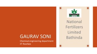 GAURAV SONI
Chemical engineering department
IIT Roorkee
National
Fertilizers
Limited
Bathinda
 