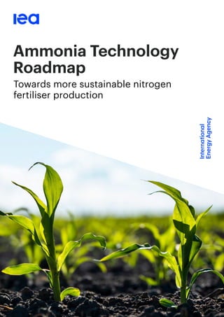 Ammonia Technology
Roadmap
Towards more sustainable nitrogen
fertiliser production
 