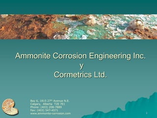 Ammonite Corrosion Engineering Inc.
                y
         Cormetrics Ltd.


    Bay 6, 1815 27th Avenue N.E.
    Calgary, Alberta T2E 7E1
    Phone: (403) 208-7889
    Fax: (403) 547-4571
    www.ammonite-corrosion.com        1
 
