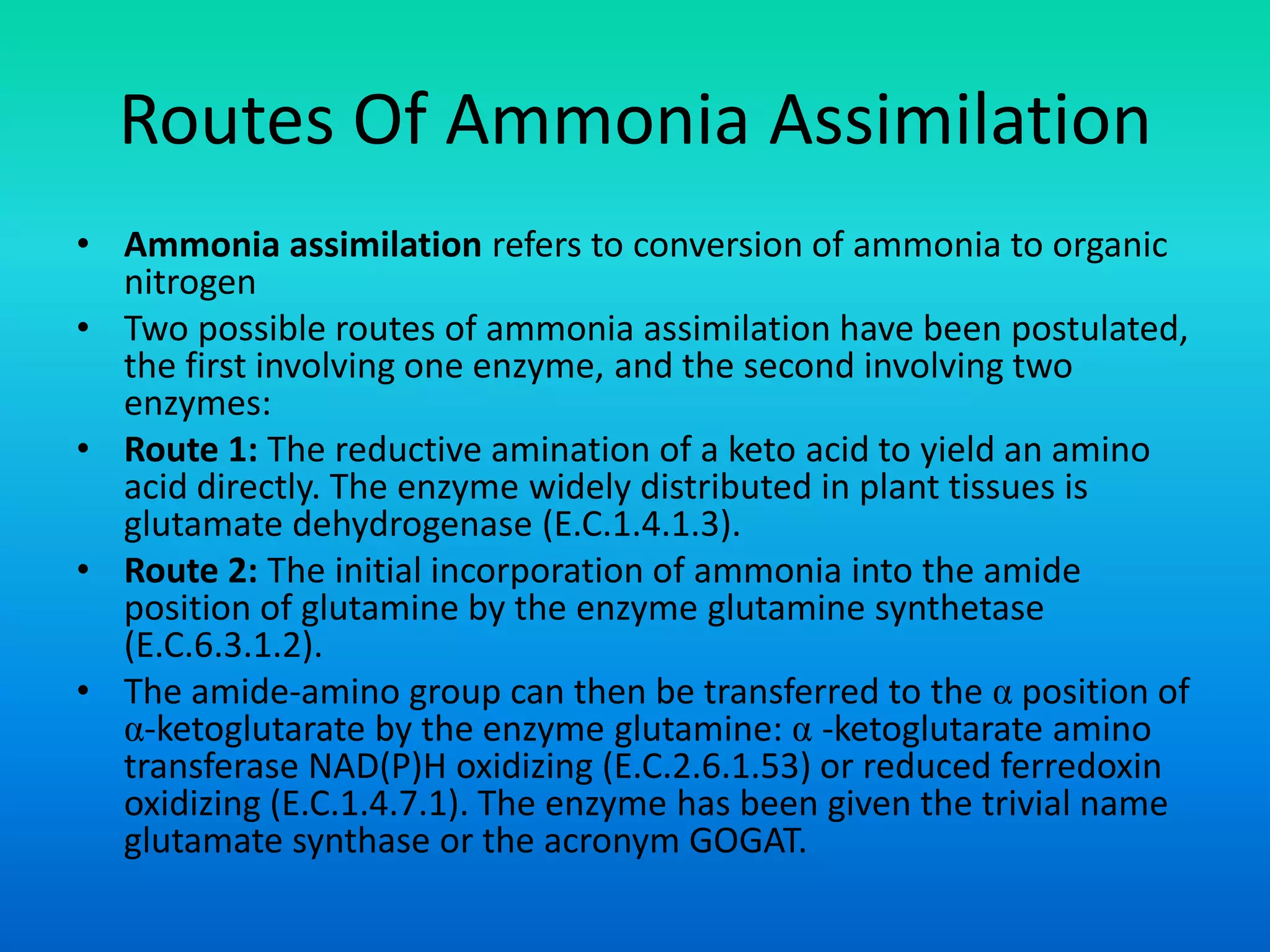 Routes Of Ammonia Assimilation
• Ammonia assimilation refers to conversion of ammonia to organic
nitrogen
• Two possible routes of ammonia assimilation have been postulated,
the first involving one enzyme, and the second involving two
enzymes:
• Route 1: The reductive amination of a keto acid to yield an amino
acid directly. The enzyme widely distributed in plant tissues is
glutamate dehydrogenase (E.C.1.4.1.3).
• Route 2: The initial incorporation of ammonia into the amide
position of glutamine by the enzyme glutamine synthetase
(E.C.6.3.1.2).
• The amide-amino group can then be transferred to the α position of
α-ketoglutarate by the enzyme glutamine: α -ketoglutarate amino
transferase NAD(P)H oxidizing (E.C.2.6.1.53) or reduced ferredoxin
oxidizing (E.C.1.4.7.1). The enzyme has been given the trivial name
glutamate synthase or the acronym GOGAT.
 